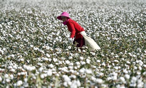 where is Xinjiang cotton from